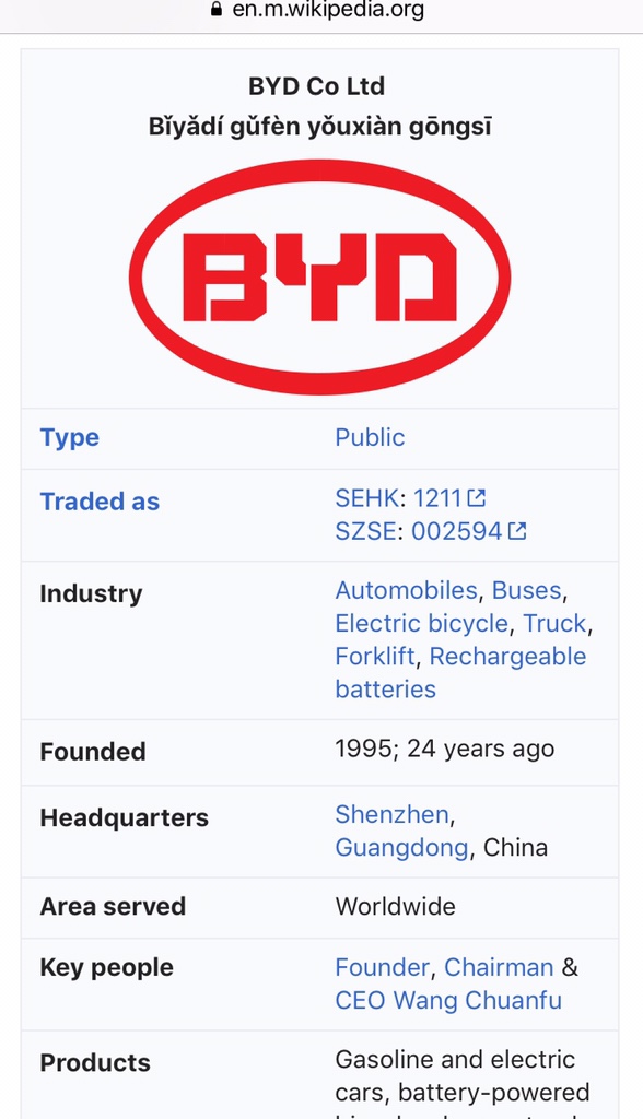  비야디(BYD)에 투자해볼까