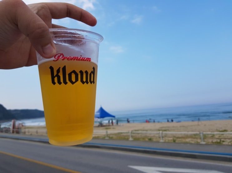  강릉 알로하서프에서 안목해변까지