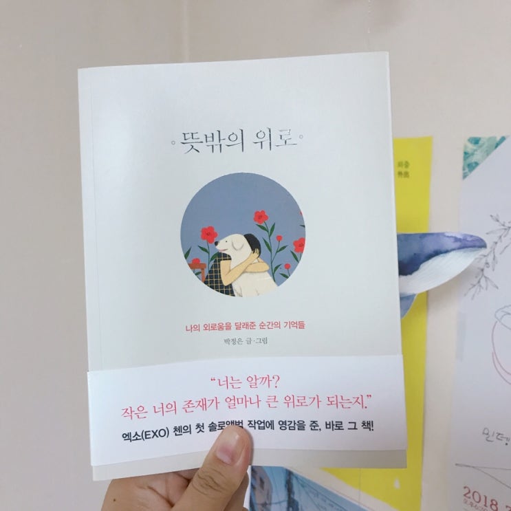  뜻밖의 위로 ㅣ 박정은