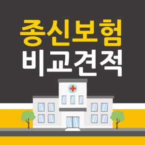 50세 종신보험 60세 이후 종신보험 가장 싼 보험료 메리츠화제종신보험부담없이설계해보세요