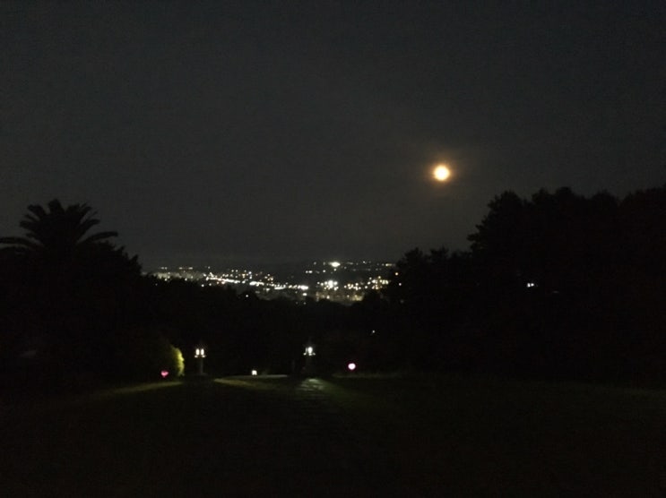  오전수련. 주절주절 수련기. 190717