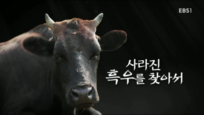  에디톨로지:편집왕