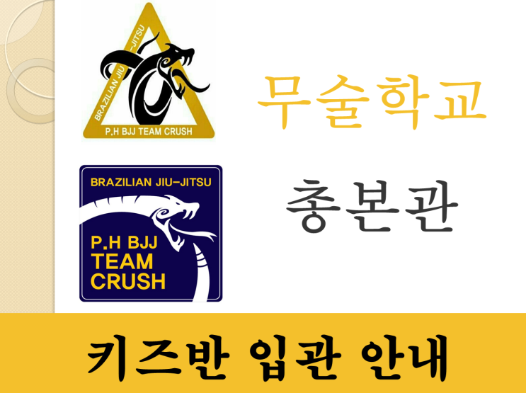  포항 무술학교 팀크러쉬 주짓수 키즈반 안내!!