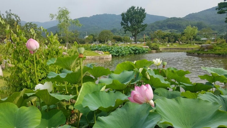  드론 신문이여!~( 태풍북상 / 통영 딱섬 뽈락낚시 소개 / 용성초 드론대회 16회 우승 / 국민대 미니드론 경진대회 대상,동상 / 토지정보서비스 드론측량보조자 등 구인 ...)