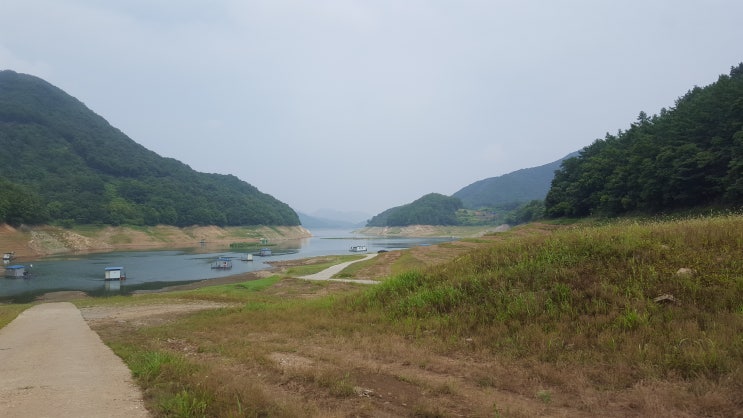  충주댐 목벌낚시터, 충주댐에서 제일 핫한 그곳!! 나만 빼고... [19.07.13~19.07.14]