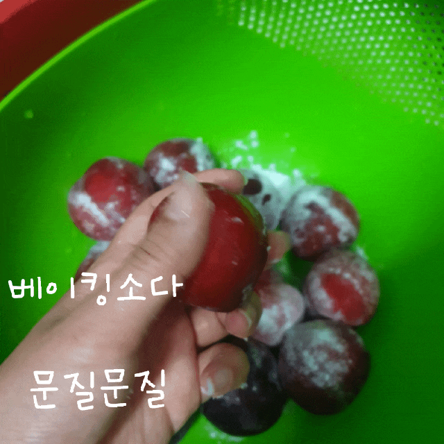  [자두 보관법][자두 오래 보관하는 방법] 이렇게 하면 오랫동안 무르지 않아요! 꿀팁