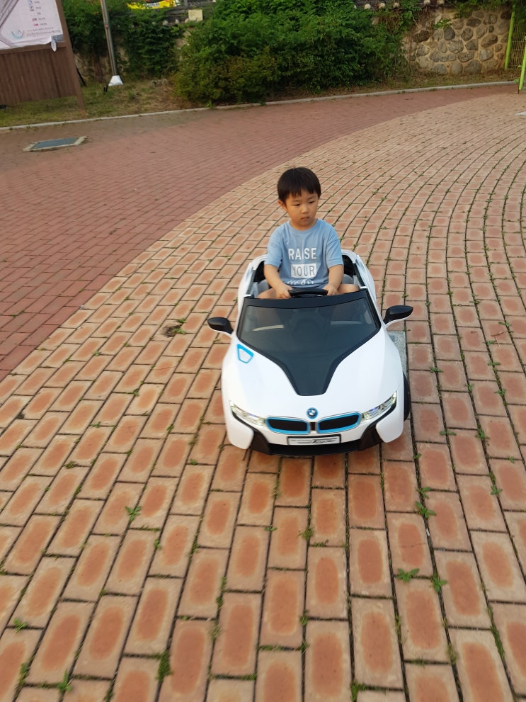  천안삼거리공원에서 전동자동차    BMW i8타고왔네요