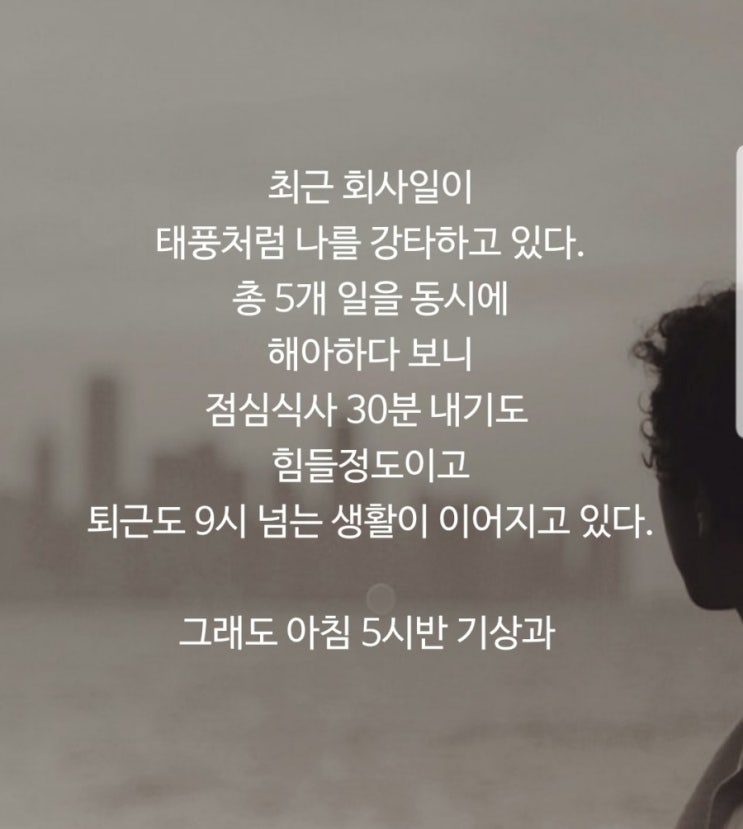  태풍속에 삶