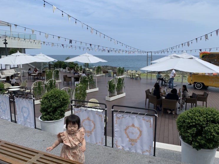 부산 기장 아난티코브/힐튼/ 볼피노