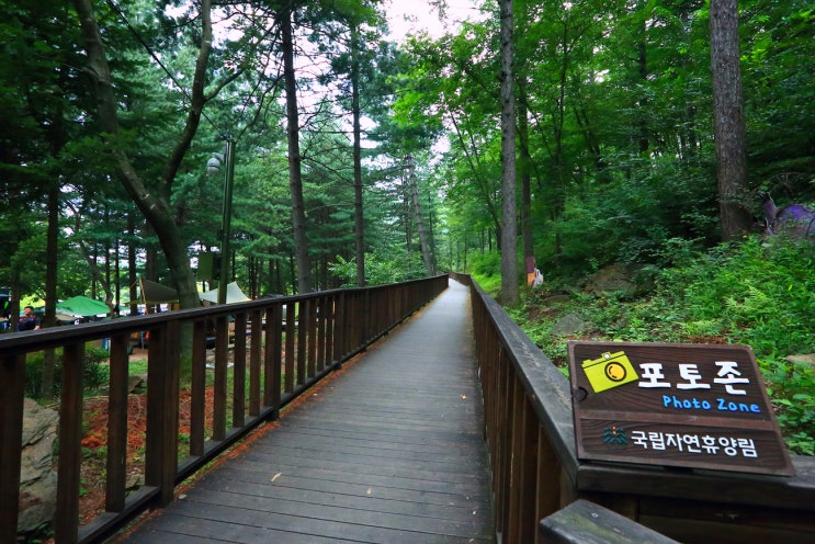 유명산자연휴양림 야영장 캠핑과 유명계곡 물놀이 뒤늦은 후기(2016.08.20~21)