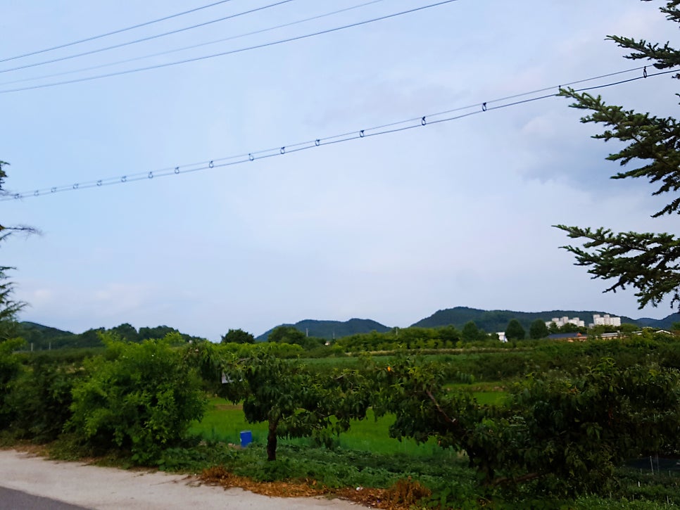 경주식당 사진 3