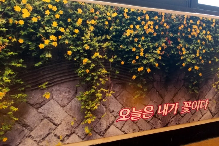  #동수영중학교#흡연예방교육#의무교육#조은경강사