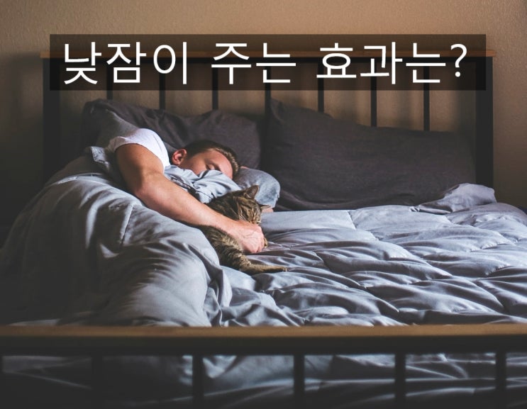  낮잠 효과는 무엇일까요?   (자기경영 by 감사 부자 윤영쌤)