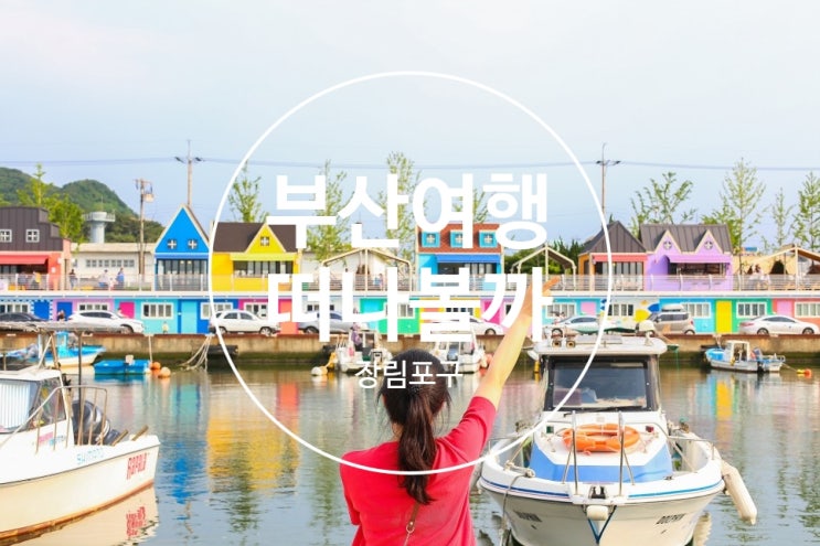  프리한19 부산 라이징 핫플 부네치아 장림포구
