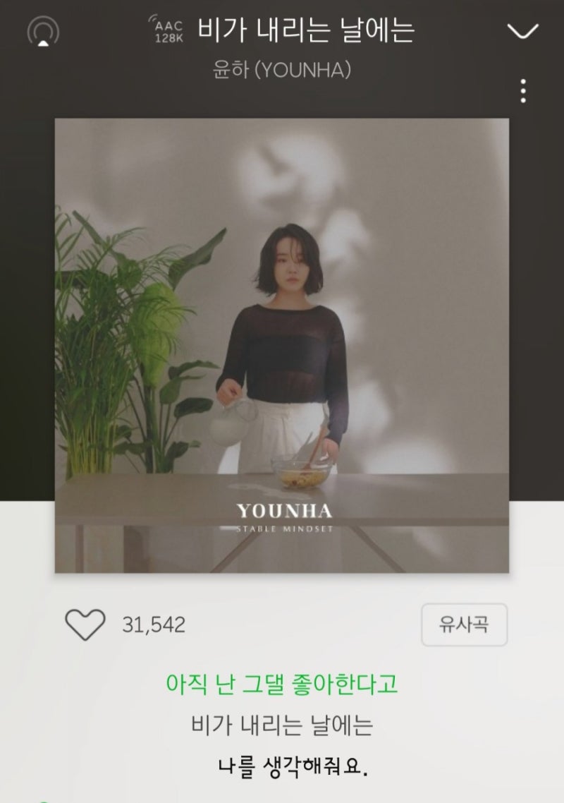 비가 내리는 날에는 — 윤하
