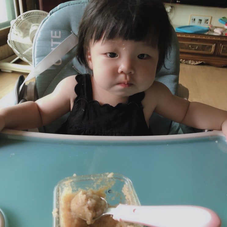  생후287일 일상기록 ) 그냥 일상