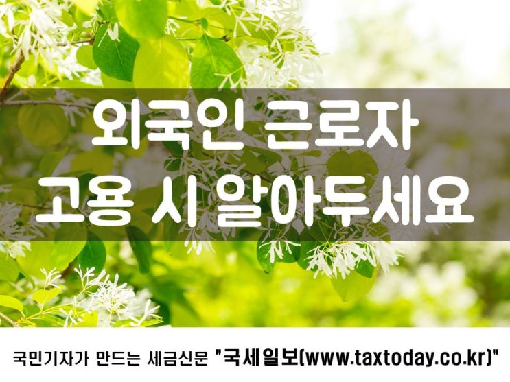  외국인 근로자 고용 시 알아두세요