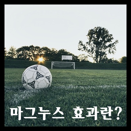  공이 휘는 원리, 마그누스 효과가 뭘까