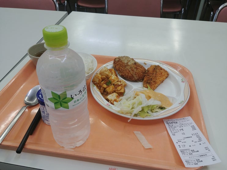  [2019. 7. 8. - 12.] 인터넷 가입 상품권 수령, 일상(슈퍼에서 장보기)