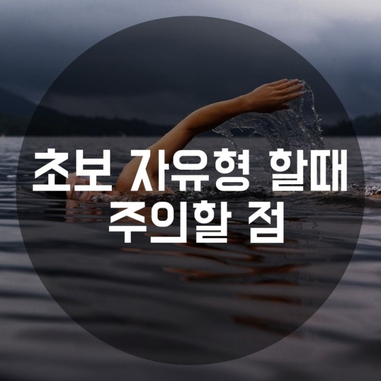  (수영) 초보 자유형 주의점 / 자유형 팔돌리기 / 호흡