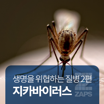  생명을 위협하는 질병 2편 [지카 바이러스]