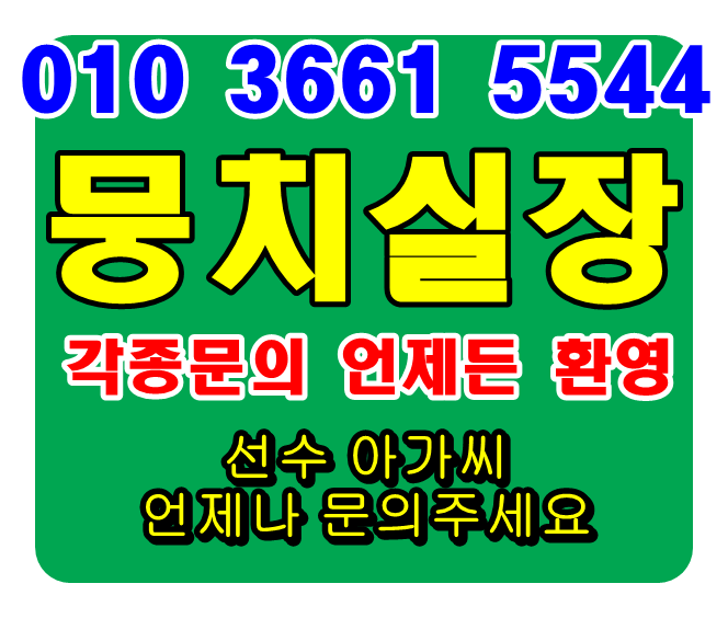  화양동 신천 신사동 압구정동 청담동 장안동 인천 건대 서초 방배 셔츠룸 레깅스룸 란제리룸 즈겁새뜨