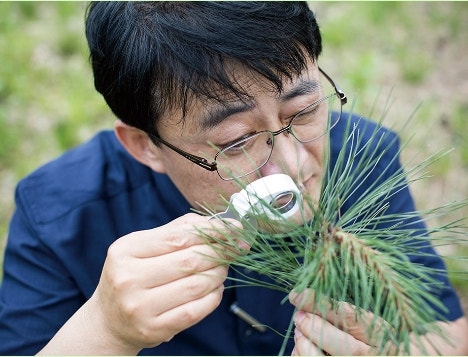 농업 신직업 “나무의사” : 네이버 블로그 농업 신직업 “나무의사” : 네이버 블로그