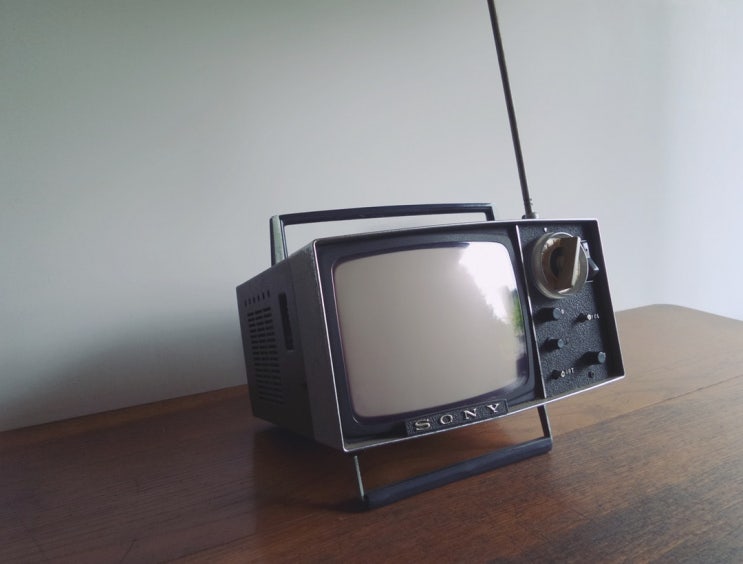  집에 TV가 없데요!!!!