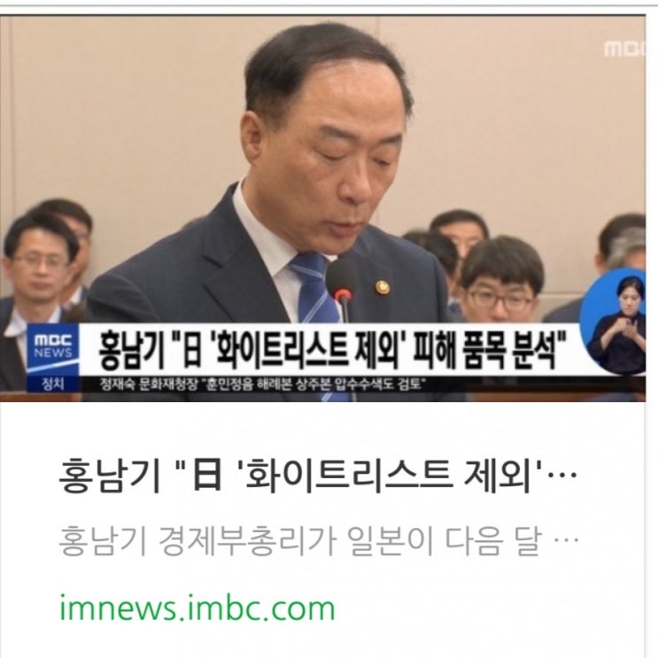  홍남기 "日 '화이트리스트 제외' 피해 품목 분석"