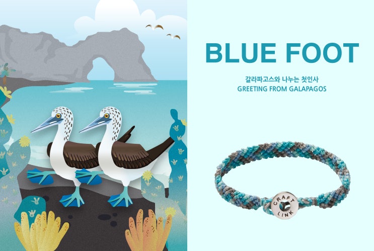  [크래프트링크] Blue Foot 갈라파고스와 나누는 첫 인사