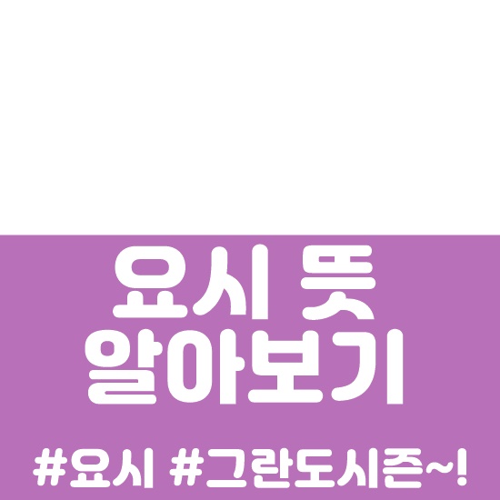  요시 뜻 알아보기