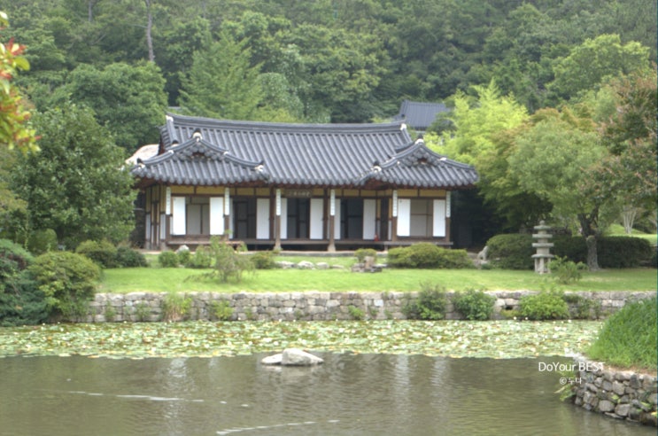  [전남 여행] 진도 : 진돗개가 유명한 진도 여행 - 운림산방 , 진돗개 테마파크