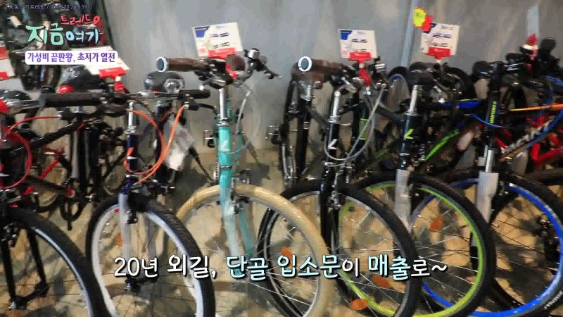 트렌드 지금여기 가성비 갑 자전거