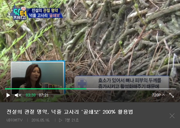  골쇄보 넉줄고사리 관절명약