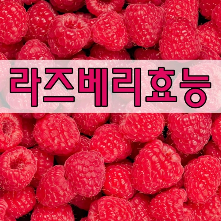  라즈베리 효능 충격적인 비밀 10가지