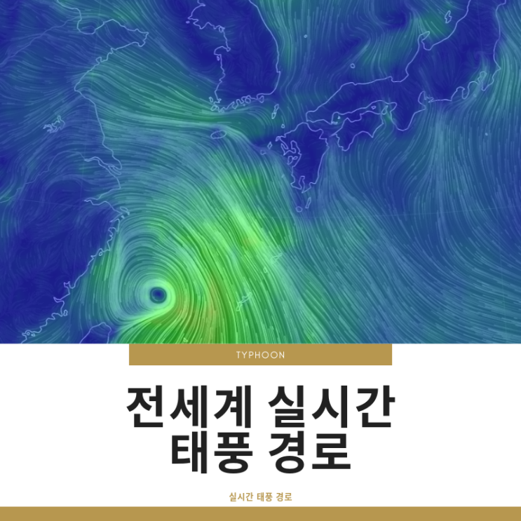  [속보] 전 세계 실시간 태풍 경로 보기