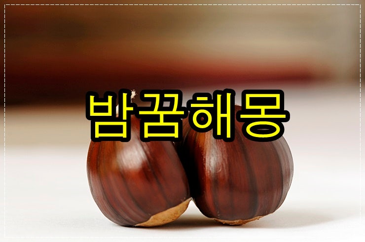 밤꿈해몽 밤줍는꿈 밤은 어떤의미 일까요? : 네이버 블로그