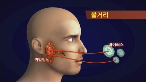  여름철 우리 아이 건강관리(3) 수두와 유행성 이하선염(볼거리) - 소아청소년과 오지은 교수