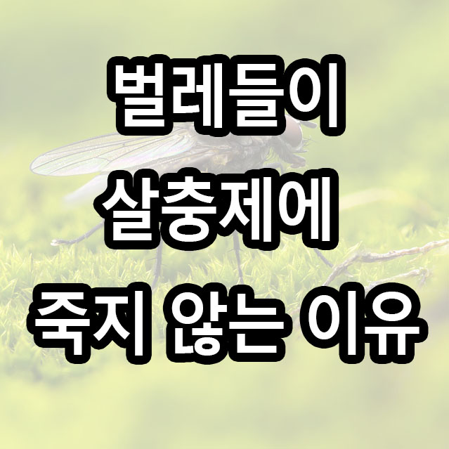  벌레들이 살충제에 죽지 않는 이유? 살충제 내성은 왜 생기는걸까?