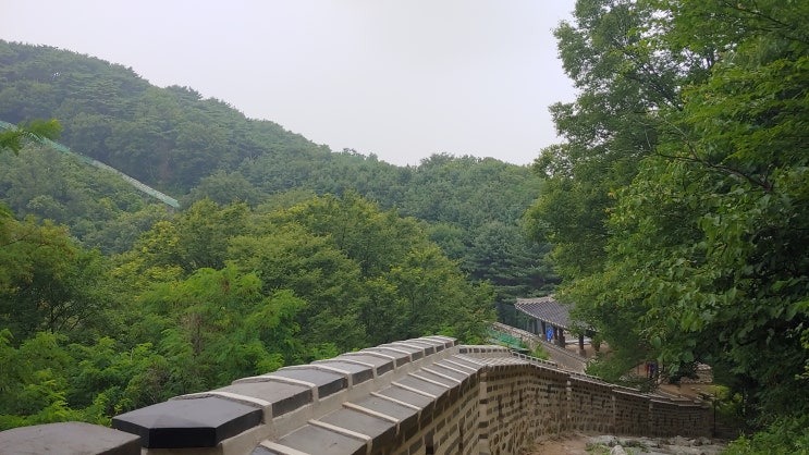 남한산성 야생화 탐사 남문 에서 동문 성밖 누리길 트레킹