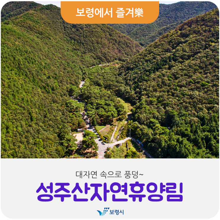 대자연 속으로 풍덩~ '성주산자연휴양림'으로 놀러와~보령!