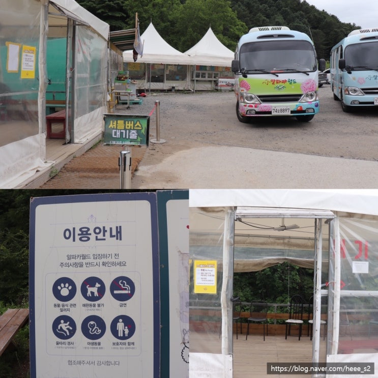  홍천 데이트 '알파카 월드' 가본 개인적인 후기 알파카월드의 모든것~!