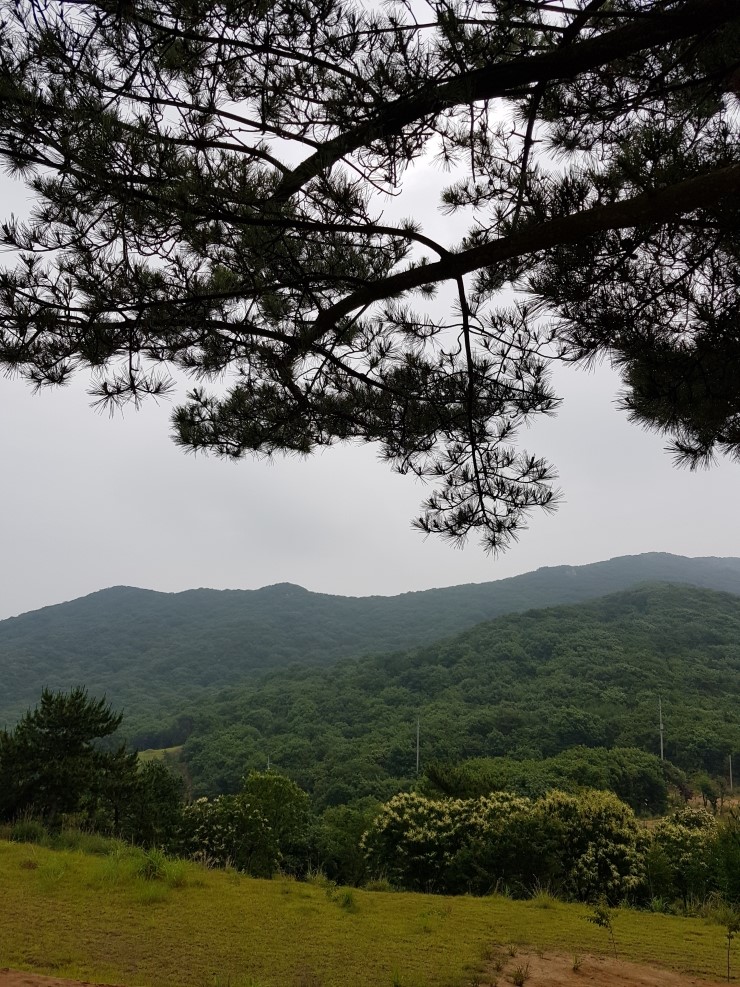  조현병 노숙인 명의대여-수원지방검찰청 안양지청 수사관 -통화 녹음