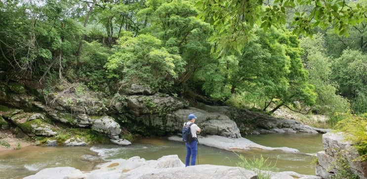  장진주_이백