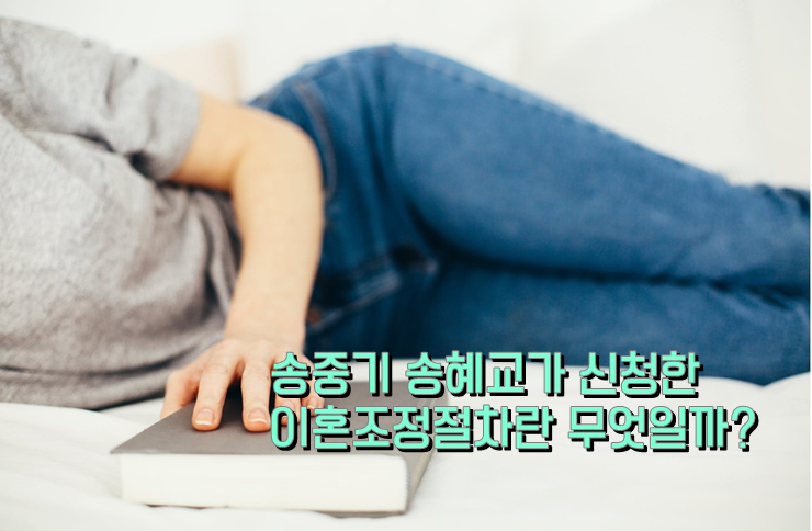  [광주이혼] 송중기가 신청한 이혼조정절차란?