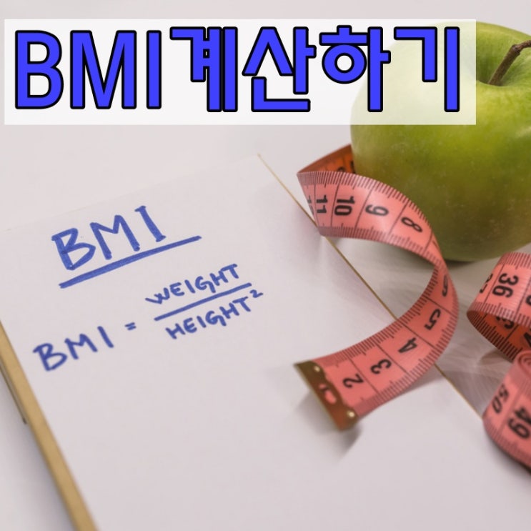  BMI 계산기 현명하게 관리하세요!