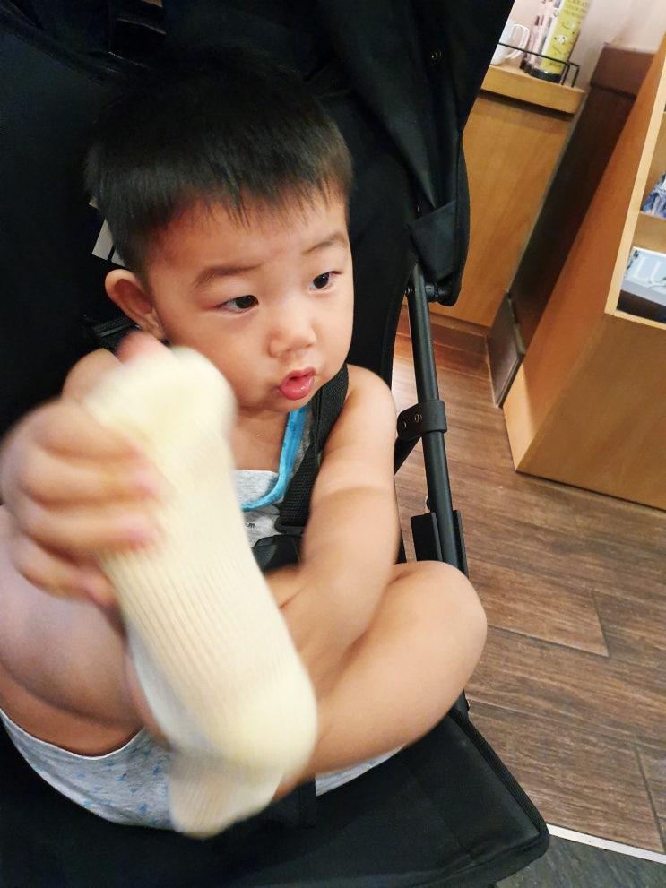  조카바보 코코냥 탈모시작