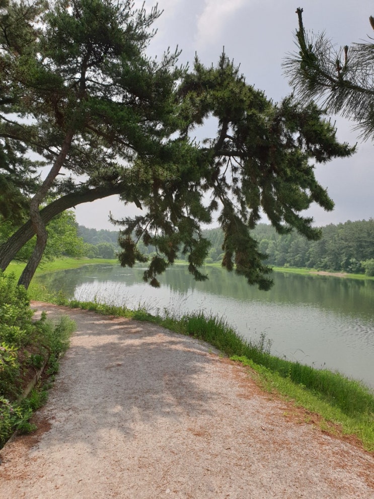 군산 가볼만한곳, 은파 호수공원 수변로 산책