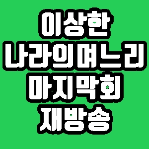 이상한 나라의 며느리 백아영 고미호 52회 마지막회 재방송 편성표 다시보기 방송시간