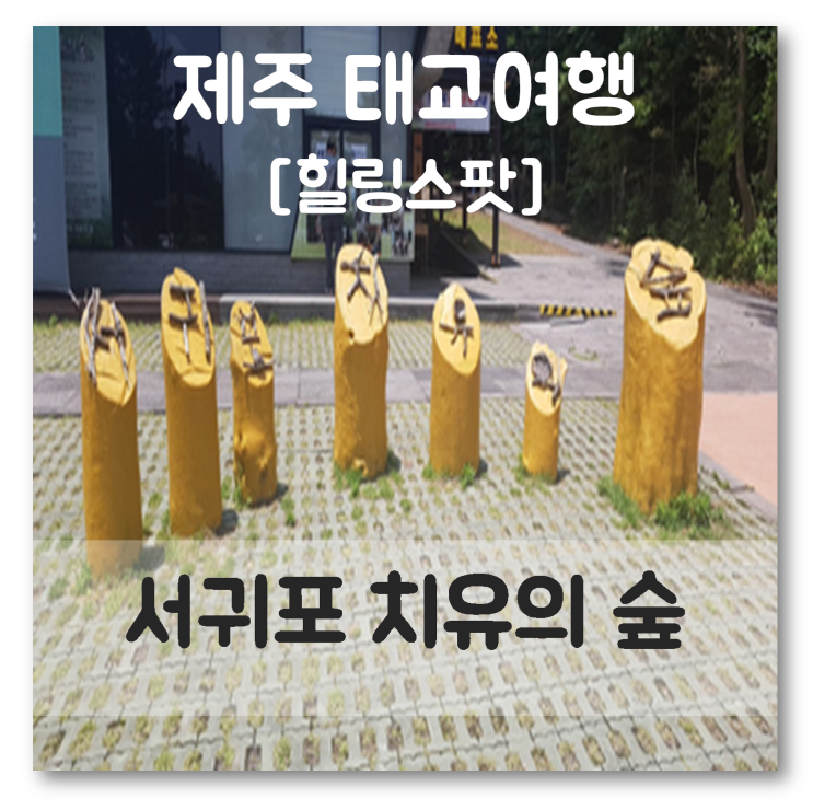  [달달하고 기분좋은 이야기] 임신 27주 제주 태교여행 서귀포 치유의숲 힐링스팟